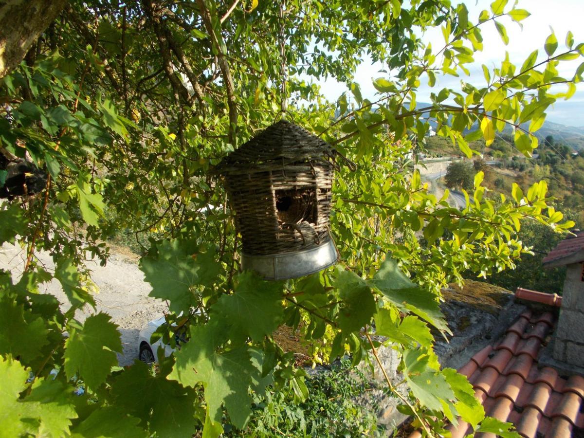 Casa De Sao Joao Das Castanheiras 雷森迪 外观 照片