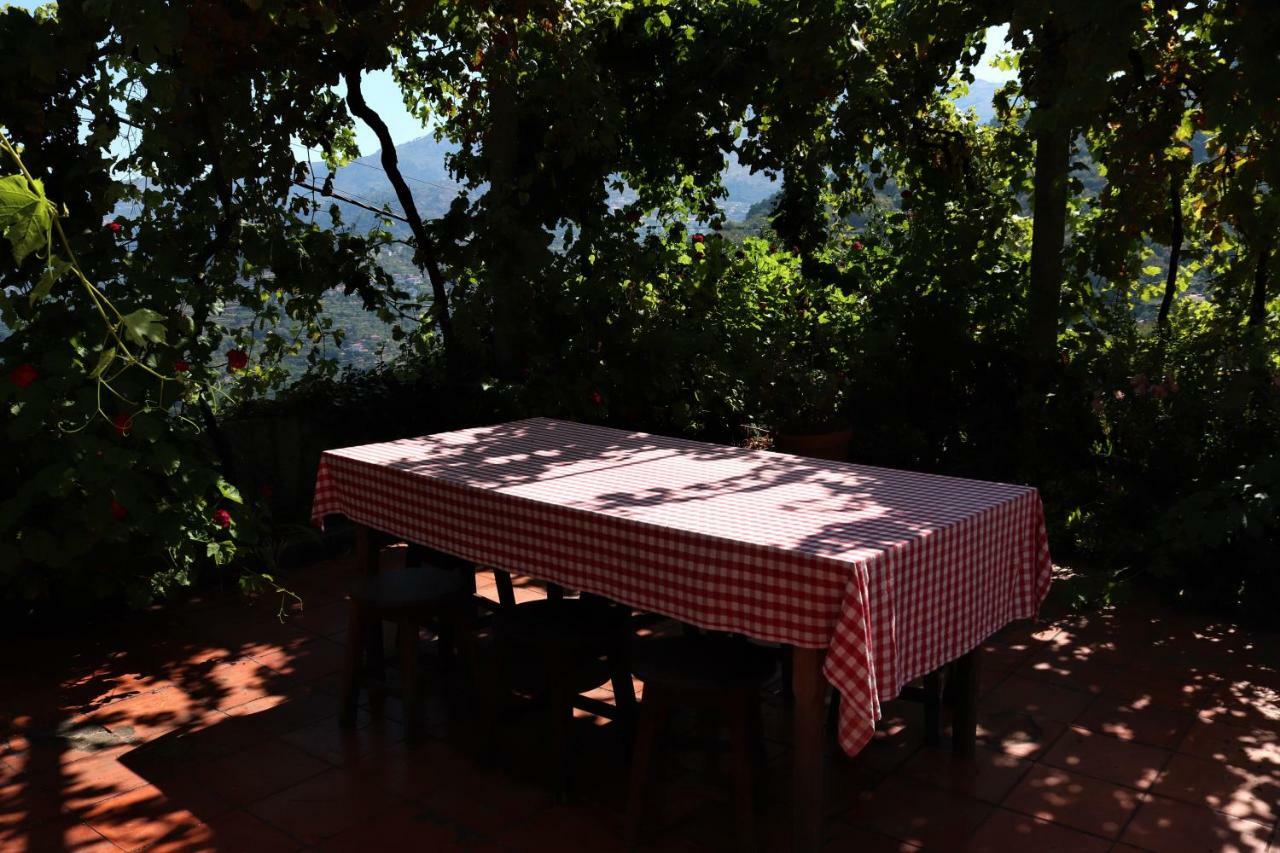 Casa De Sao Joao Das Castanheiras 雷森迪 外观 照片